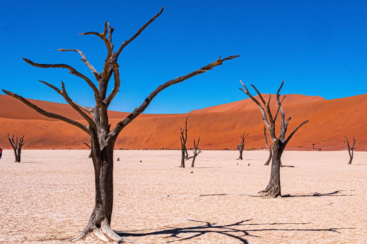 Mobile header background