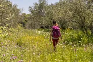 Frau mit Wanderrucksack läuft über eine Wiese mit hohem Gras