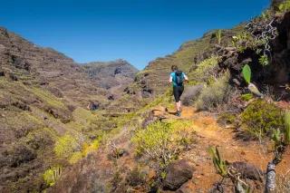 Eine Wanderin läuft auf einem steinigen Pfad. Der Boden ist orange ringsum sind Büsche und Blumen.