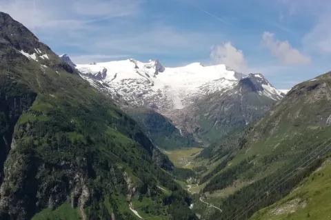 Blick auf ein bewaldetes Tal mit bewaldeten Berghängen und einem schneebedeckten Gletscher