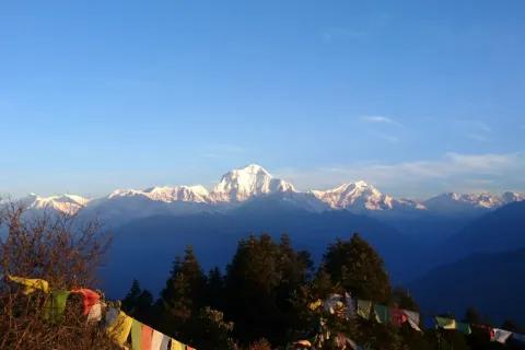 Gebetsfahnen wehen am Gipfel neben grünen Bäumen und schneebedeckter Bergkette im Hintergrund.