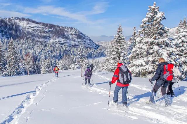 Vier Personen laufen mit Schneeschuhen durch Tiefschnee und eine verschneite Landschaft mit Bäumen