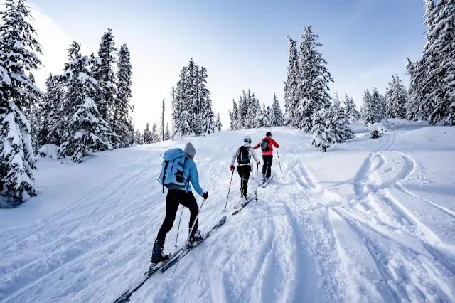 Drei Personen mit Skiern laufen einen schneebedeckten Hang hinauf vorbei an verschneiten Bäumen