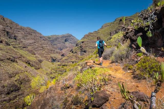 Eine Wanderin läuft auf einem steinigen Pfad. Der Boden ist orange ringsum sind Büsche und Blumen.