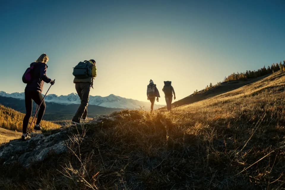 Vier Wanderer gehen bergauf vor einem weitläufigen Bergpanorama. Die Sonne scheint ihnen entgegen