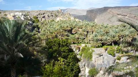 Dattelpalmen und traditionelles Dorf in einer Berglandschaft.