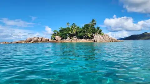 Kleine Insel mit Palmen und türkisfarbenem Wasser.