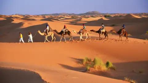 Kamelkarawane in der Wüste.