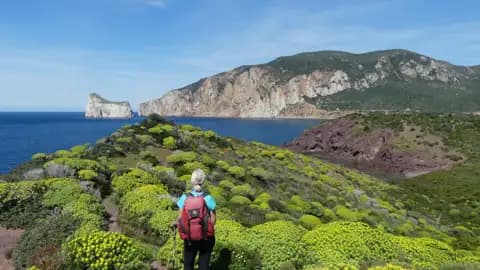 Wanderer auf einem Küstenpfad mit Blick auf das Meer und Felsformationen.