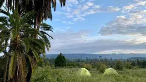 Zwei Zelte auf einem Campingplatz in der Nähe von Palmen mit Aussicht.