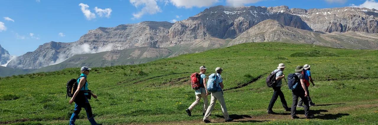 Eine Gruppe von sechs Wanderern geht auf einer Wiese von links nach rechts. Im Hintergrund sind felsige Berge zu sehen.